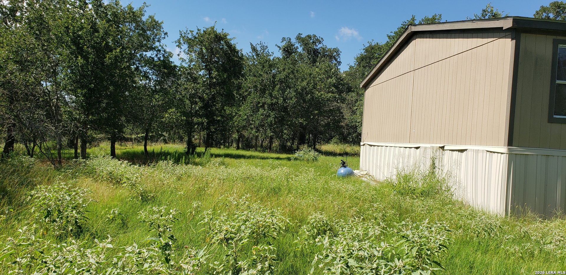 111 FLORES OAKS DR, , 78114 — photo 1