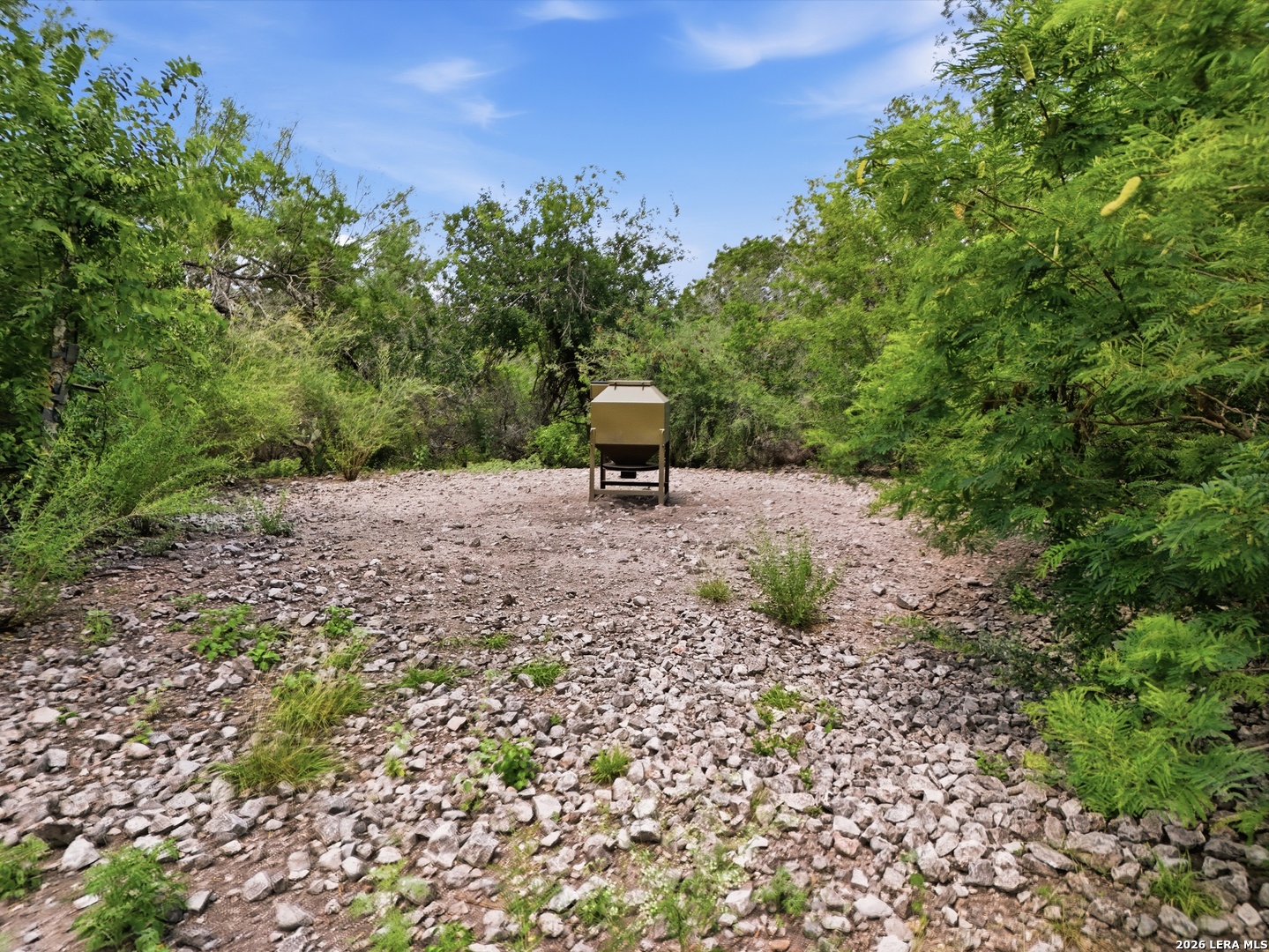 17398 TX Hwy 127, ,  78881 — photo 1