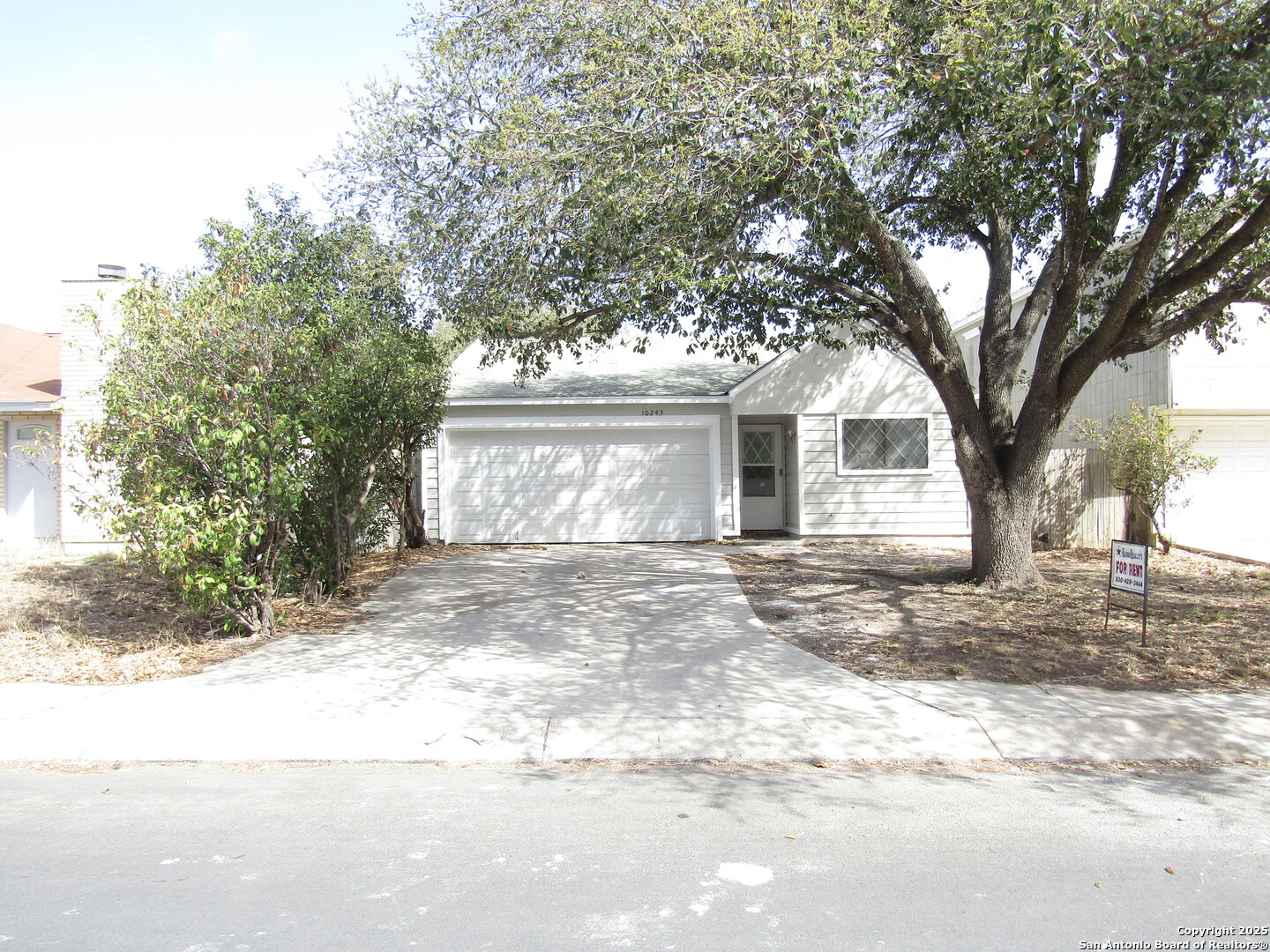 10243 Raven Field, San Antonio, TX 78245 — photo 1