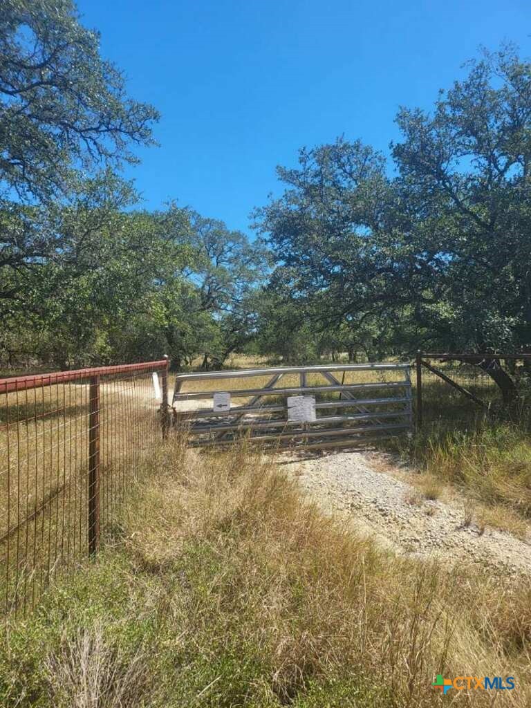 346 Ammann Road, Boerne, TX 78015 — photo 1
