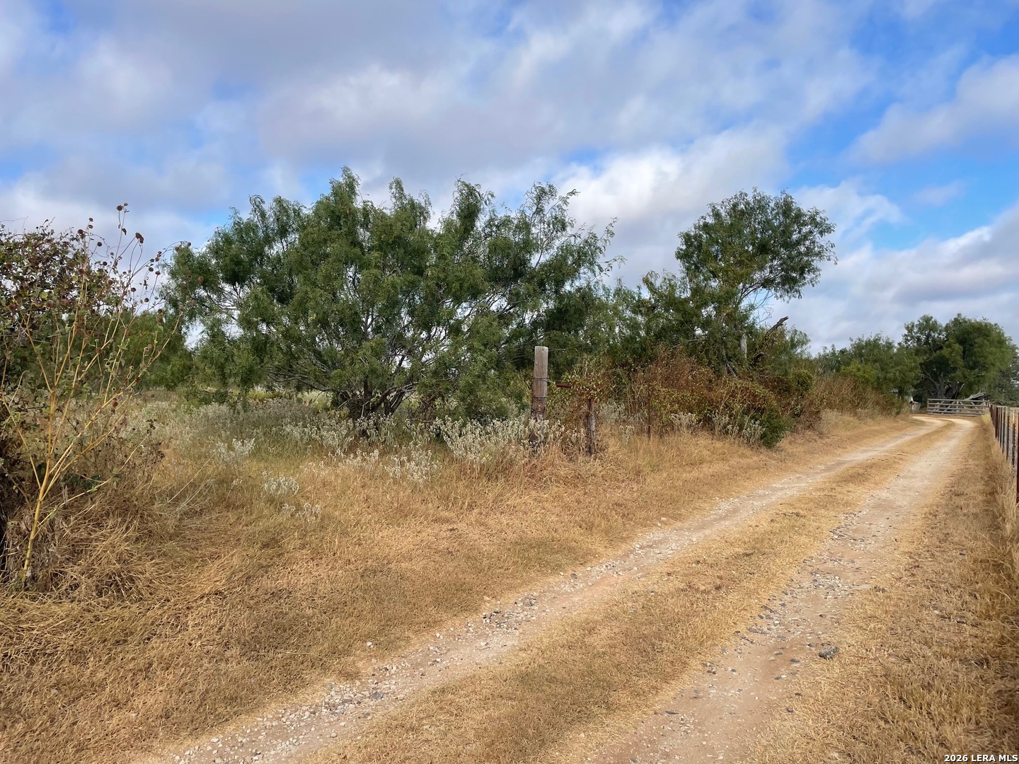 3 ACRES TBD CR 118, ,  78114 — photo 1