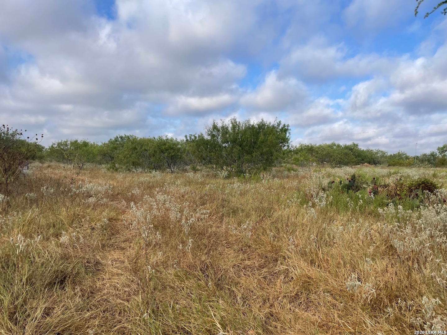 3 ACRES TBD CR 118, Floresville, TX 78114 — photo 1