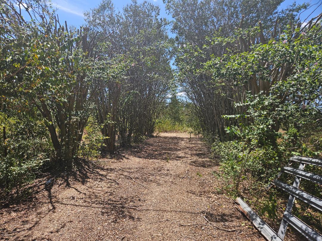 358 Highway 95, Elgin, TX 78621 — photo 1