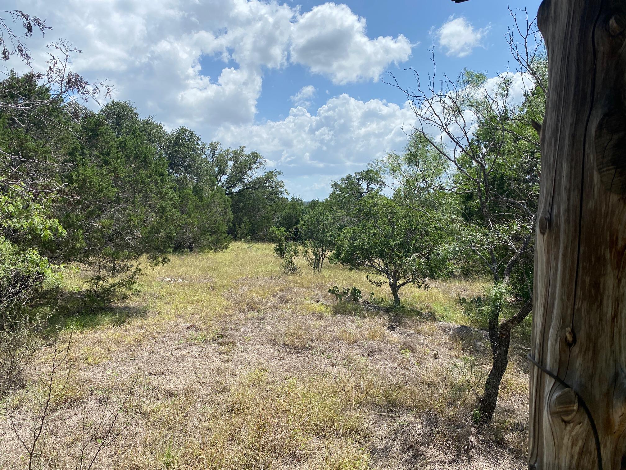 Lot 31 Pedernales Oaks, Johnson City, TX 78636 — photo 1