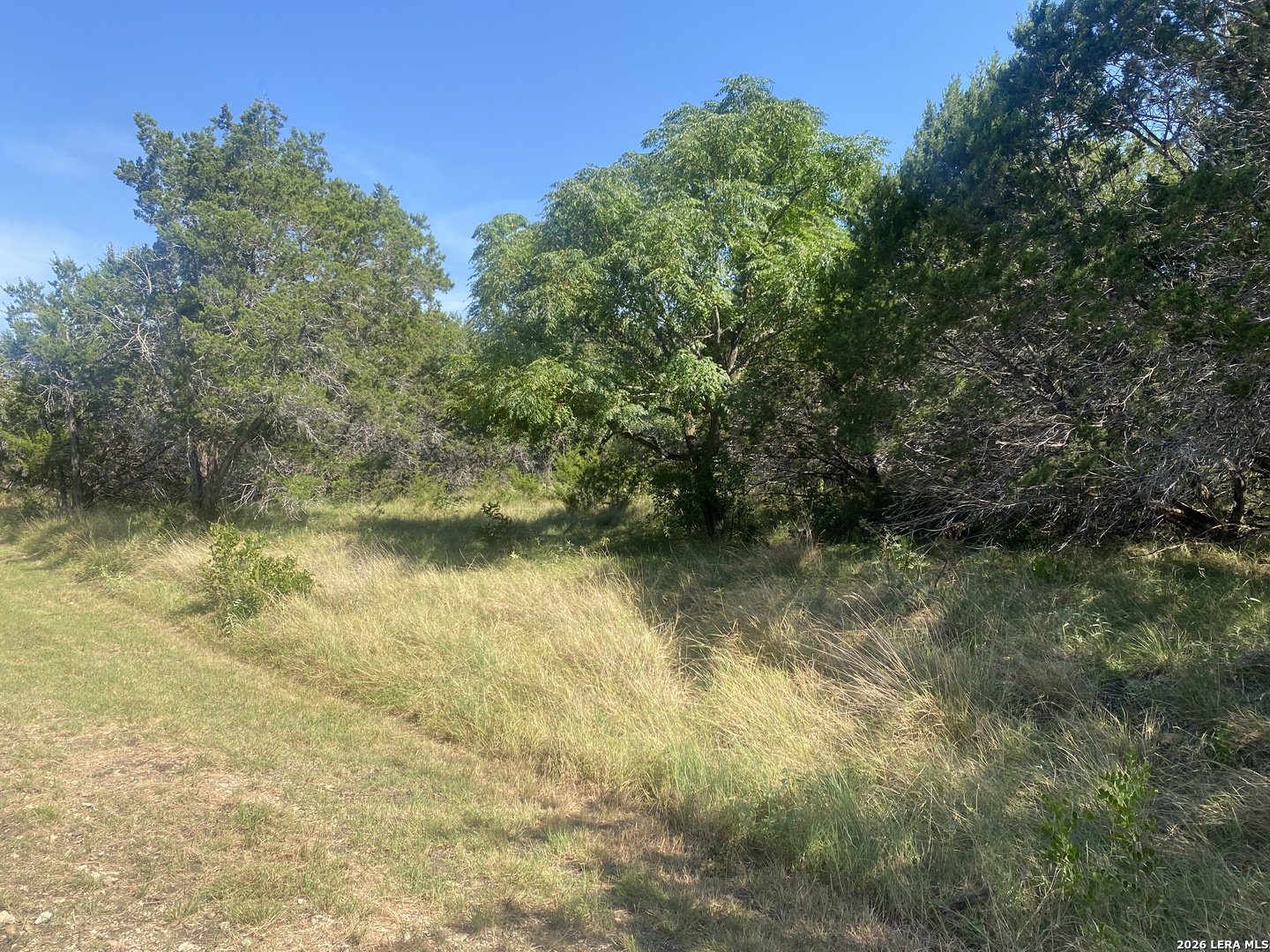 00 JIM DALRYMPLE DR, ,  78873 — photo 1