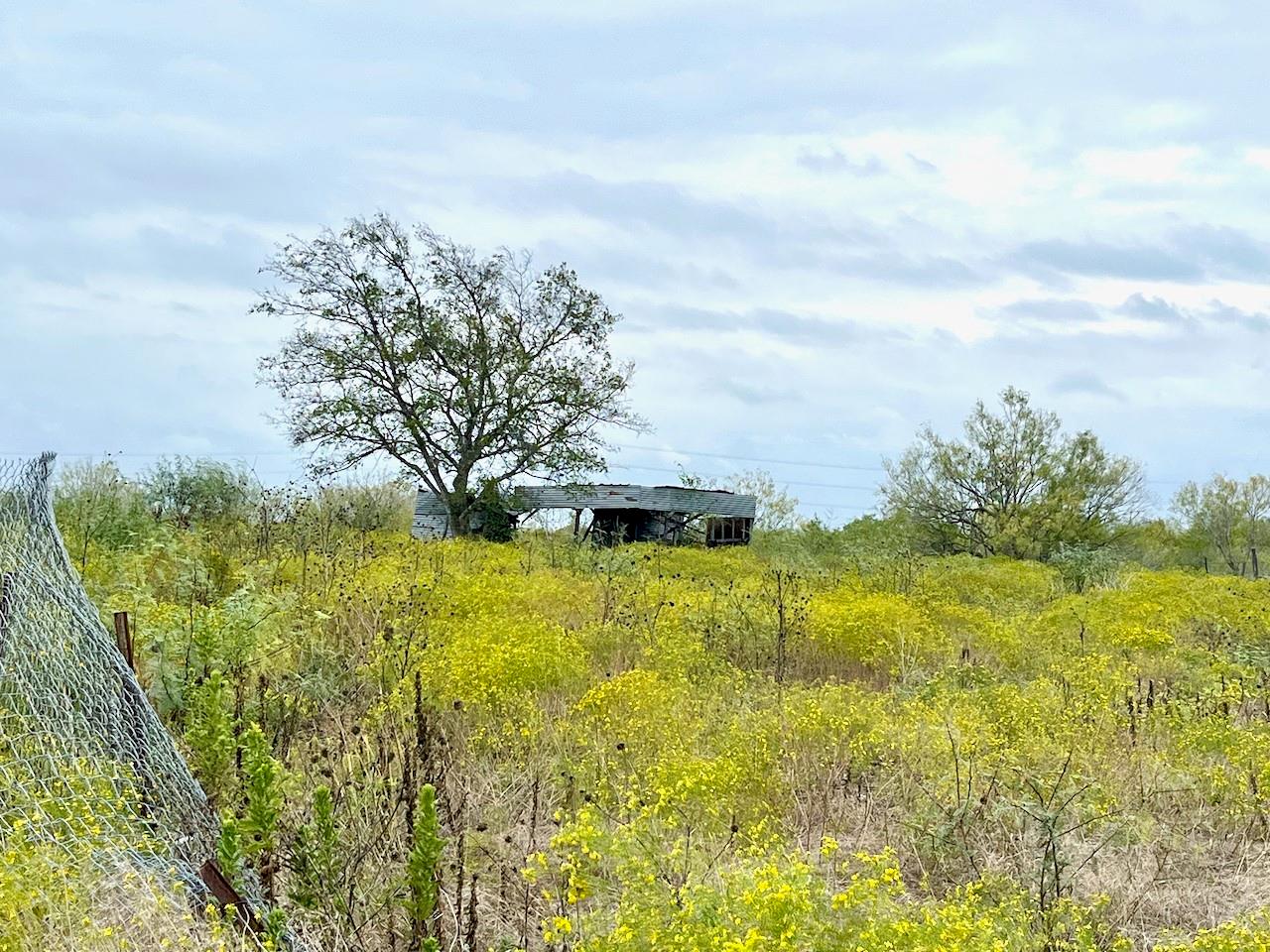 11604 Moore, Austin, TX 78719 — photo 1