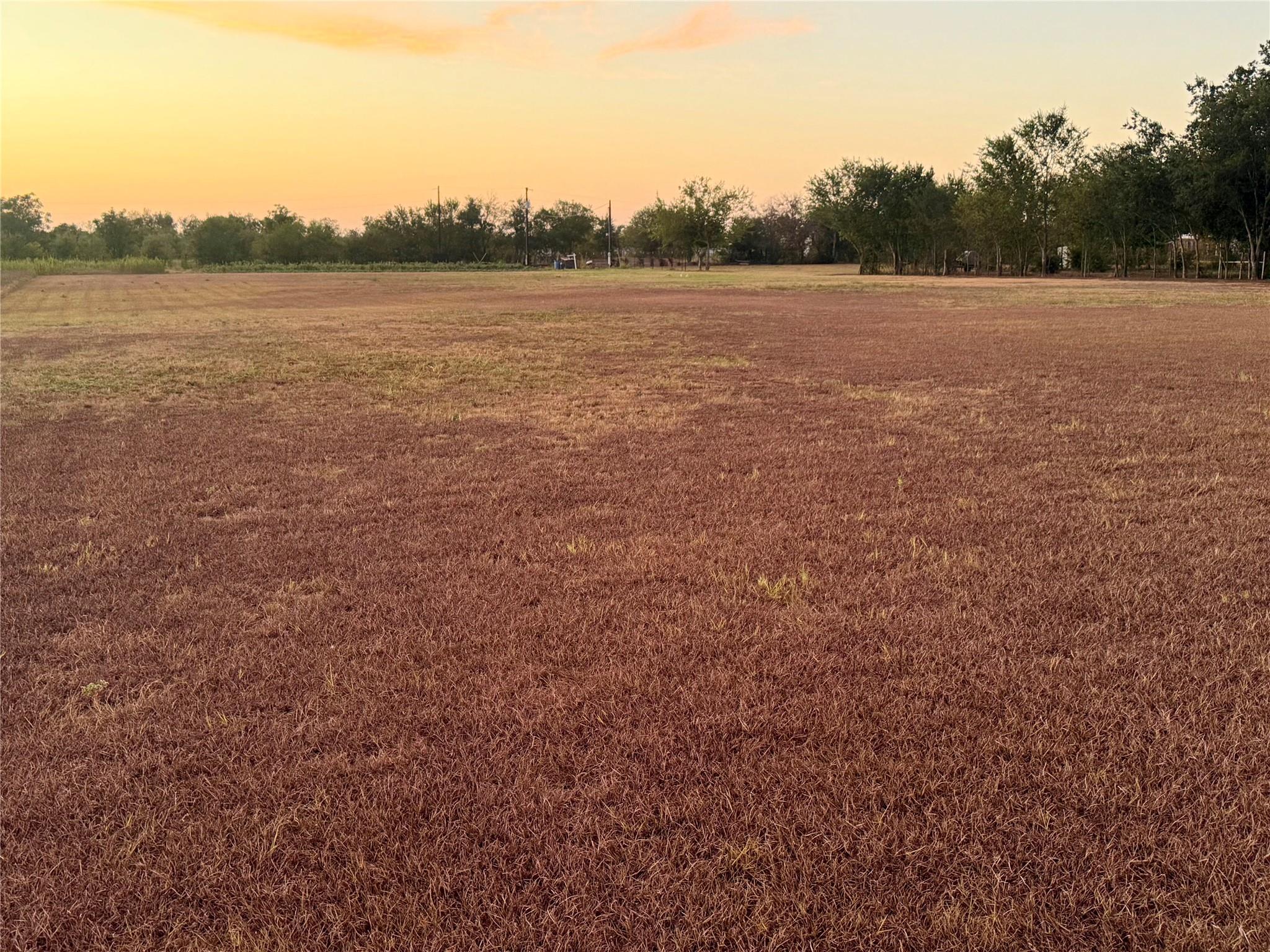 2206 Sandra, Webberville, TX 78653 — photo 1