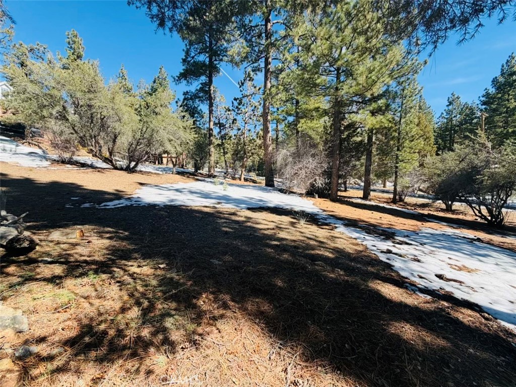808 Antelope Mountain Drive, Big Bear City, CA 92314 — photo 1