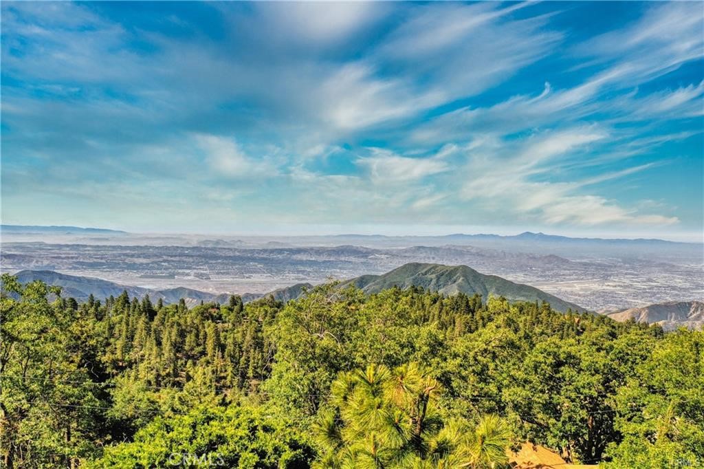 246 Lot Ferndale Dr, Running Springs, CA 92382 — photo 1