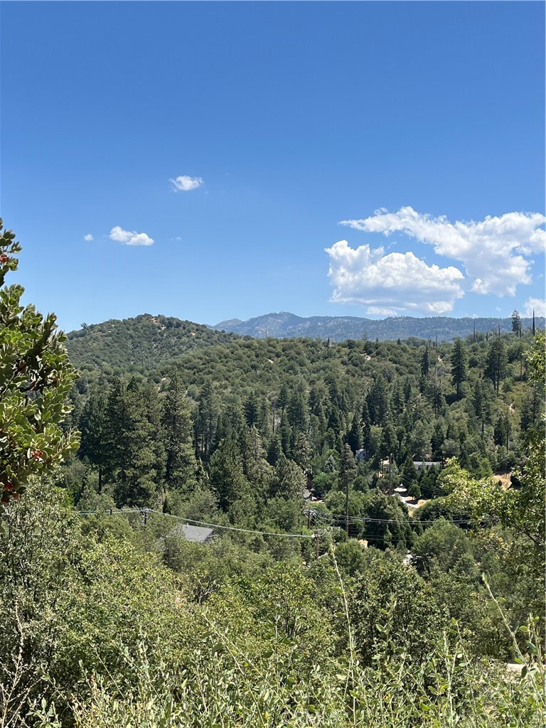 0 Hill Drive, Cedar Glen, CA 92321 — photo 1