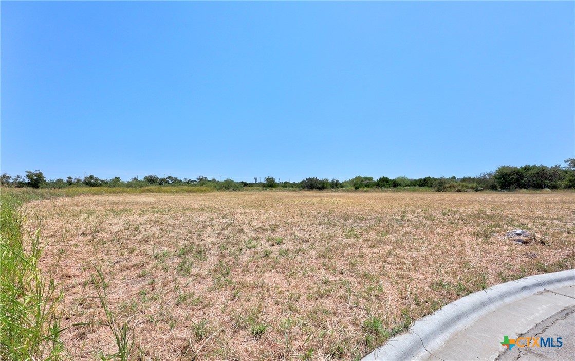 2062 Botts, Salado, TX 76571 — photo 1