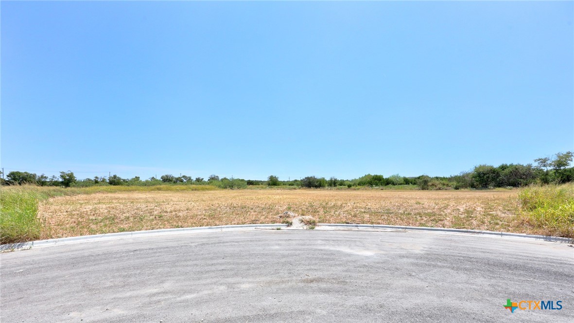 2062 Botts Drive, Salado, TX 76571 — photo 1