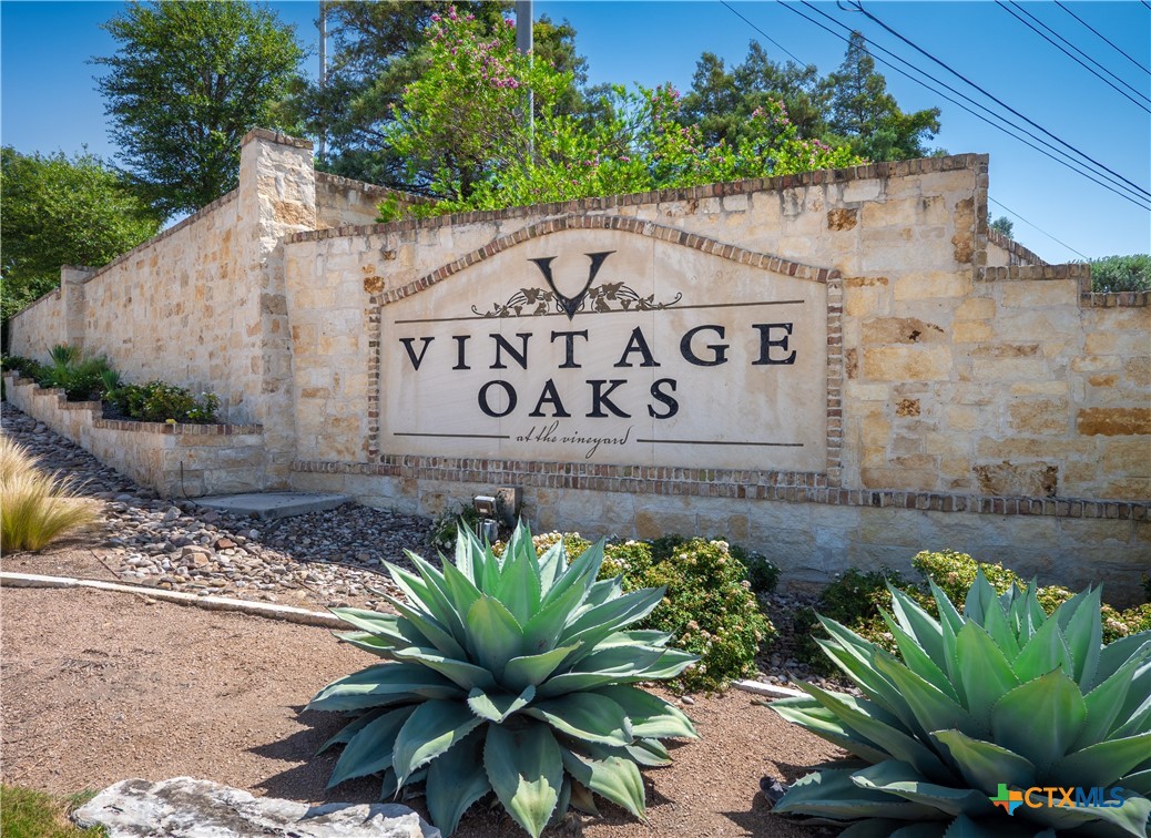 1324 Pinot Grigio, New Braunfels, TX 78132 — photo 1