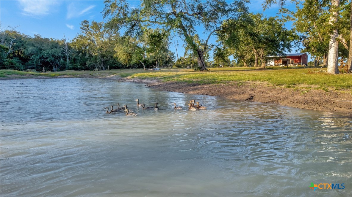 2698 County Road 284, Edna, TX 77957 — photo 1