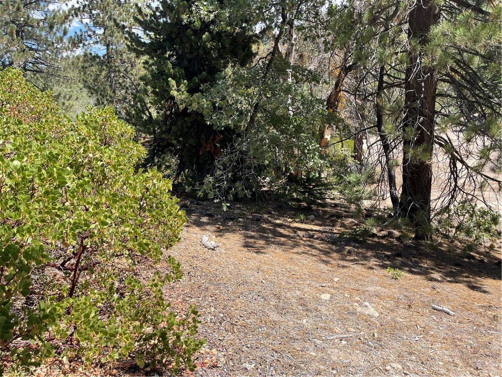 0 Arrowbear, Running Springs, CA 92382 — photo 1