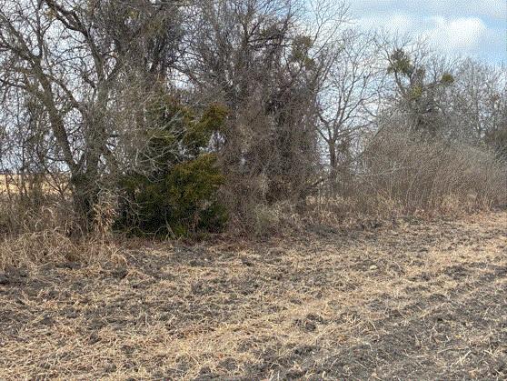 CR 3061 lot 2