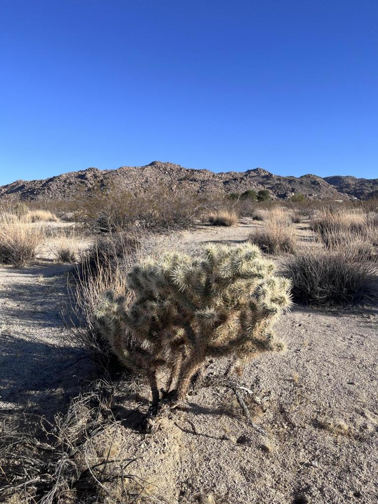 0 Lee Rd, 29 Palms, CA 92277 — photo 1
