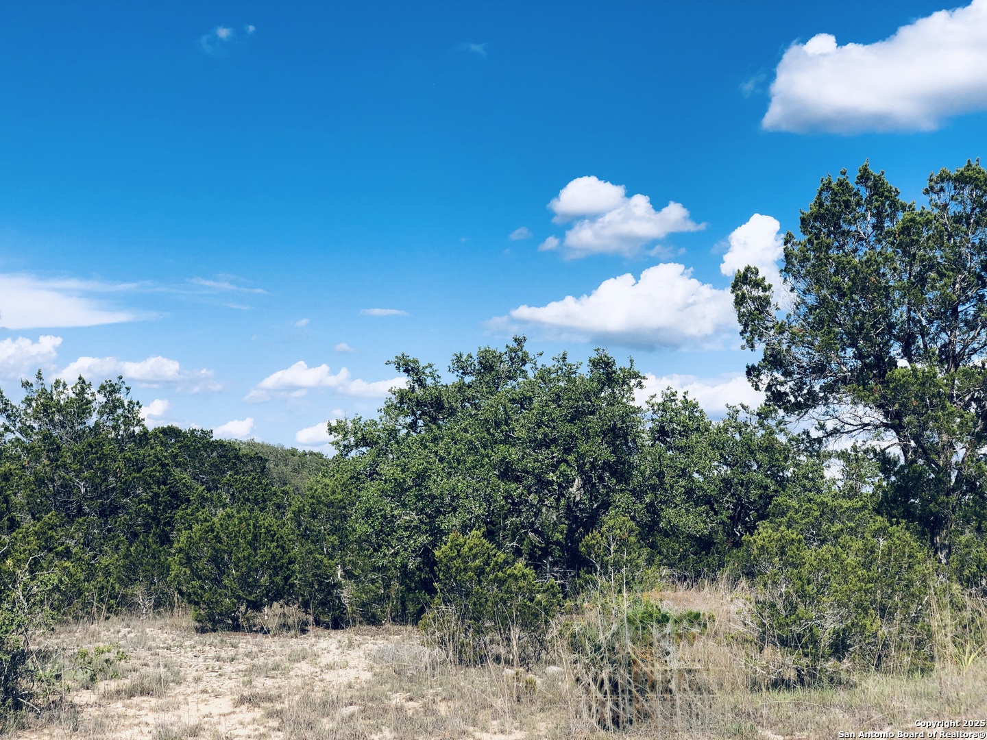 1020 Cliff Circle, Spring Branch, TX 78070 — photo 1