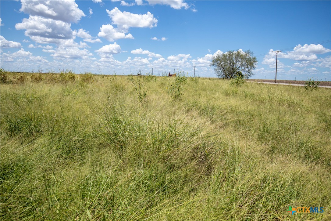 0 County Road 647, Mathis, TX 78368 — photo 1