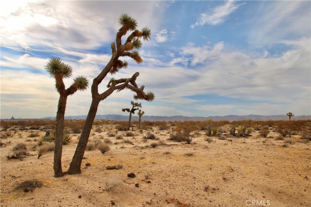 0 Cielito Drive, Joshua Tree, CA 92252 — photo 1