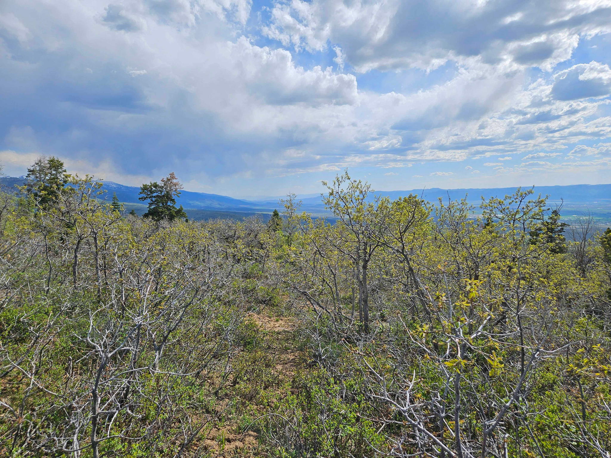 1246 E NORTH FORK RD, Fairview, UT 84629 — photo 1
