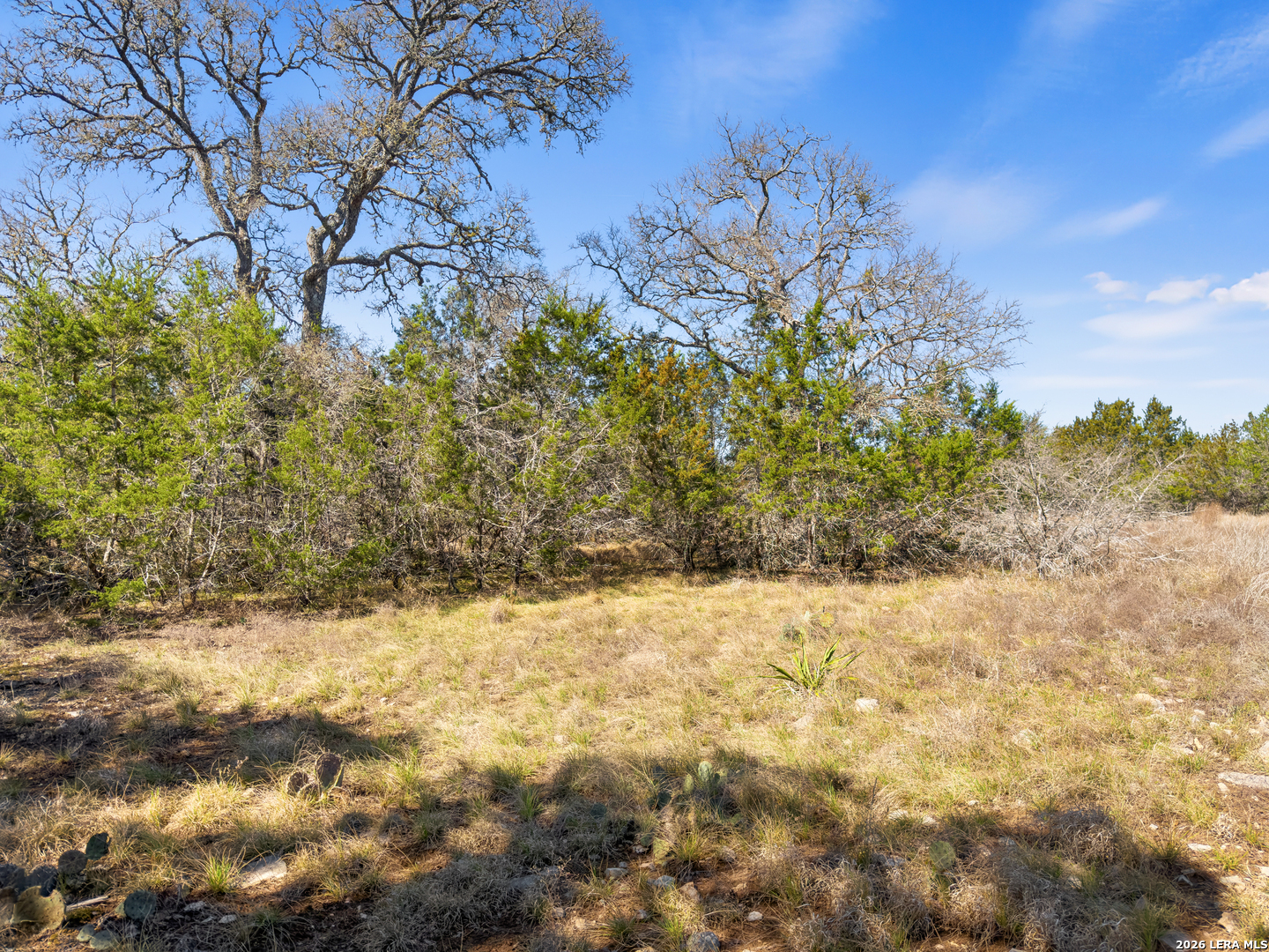 535 Left Fork Place, Spring Branch, TX 78070 — photo 1