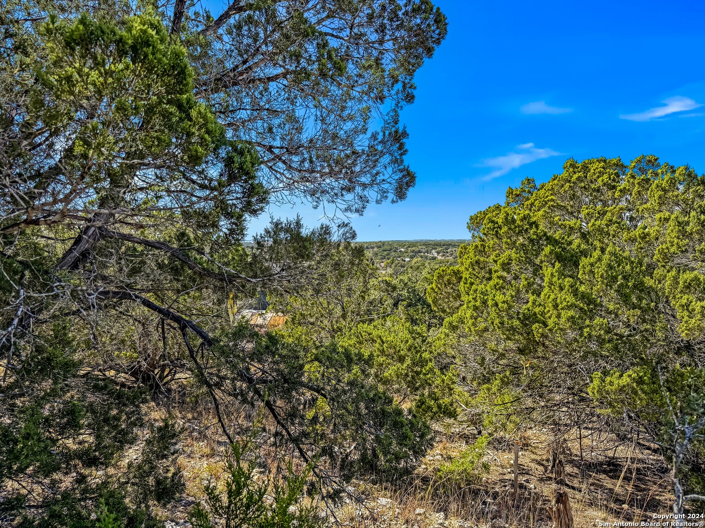 2900 ROCKY RIDGE LOOP, Canyon Lake, TX 78133 — photo 1