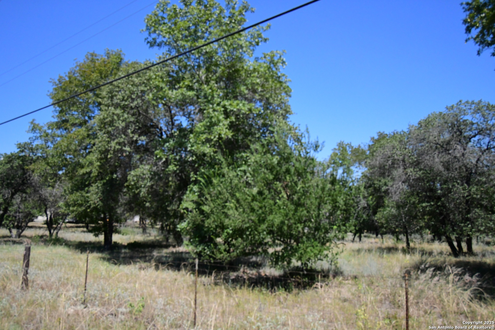 TBD  LOT 140 Cr 6868, ,  78059 — photo 1
