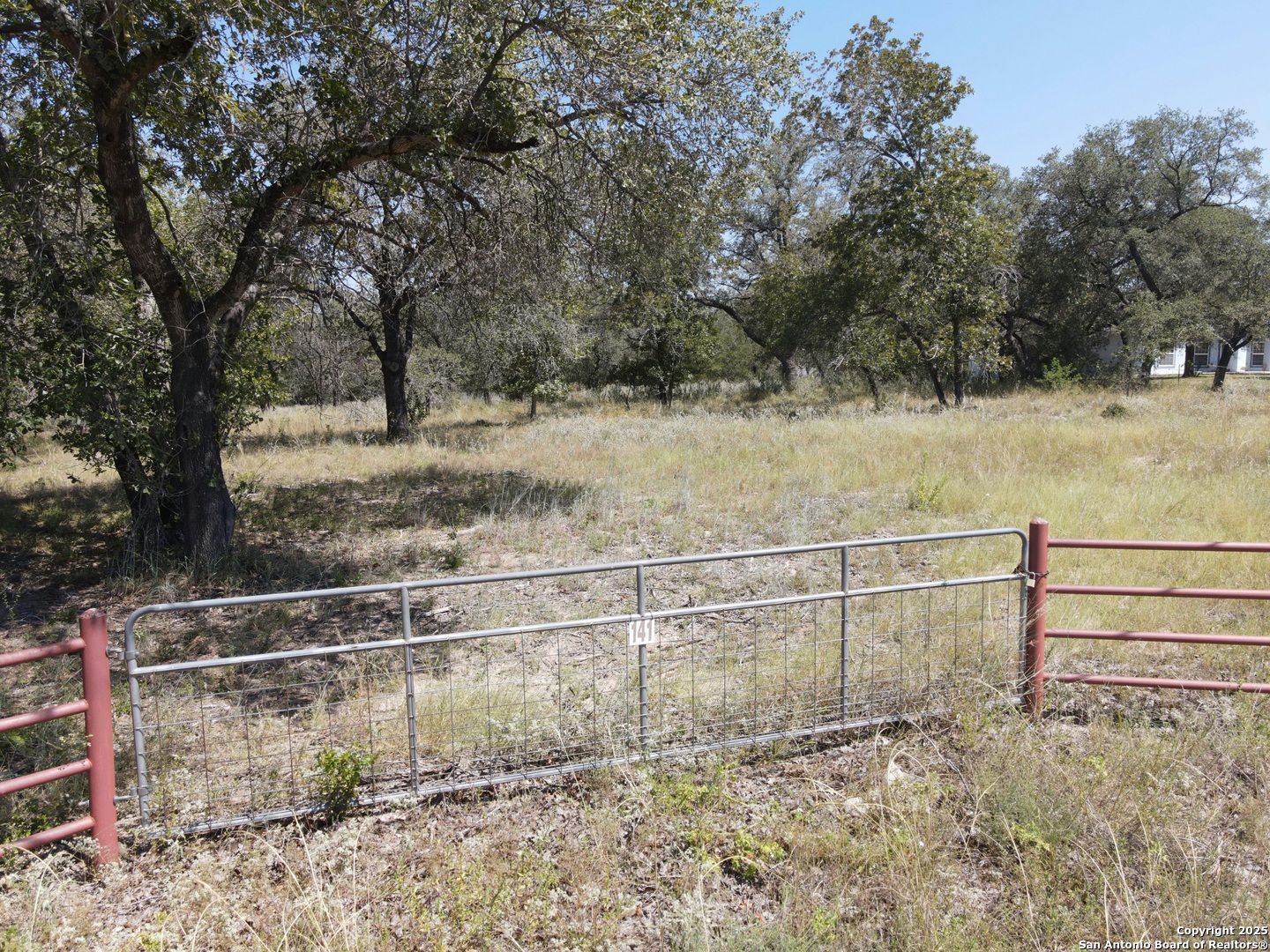TBD LOT 141 E Cr 6868, Natalia, TX 78059 — photo 1