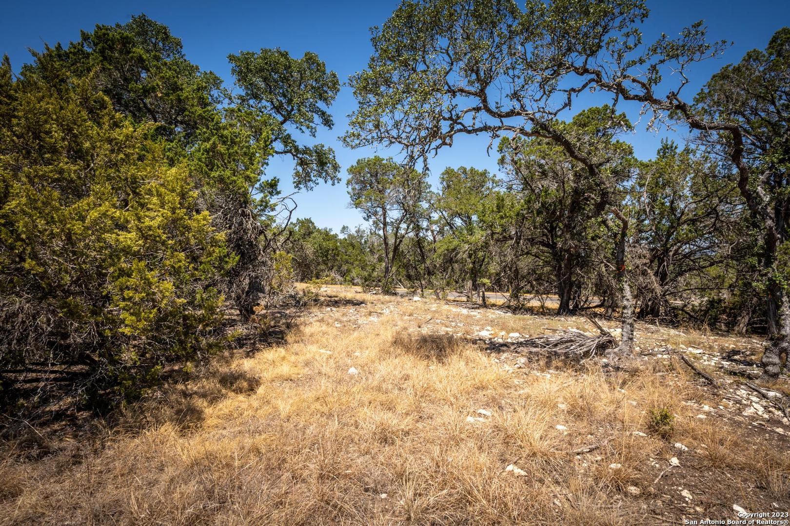 45 MEZCAYA TRL, , 78006 — photo 1
