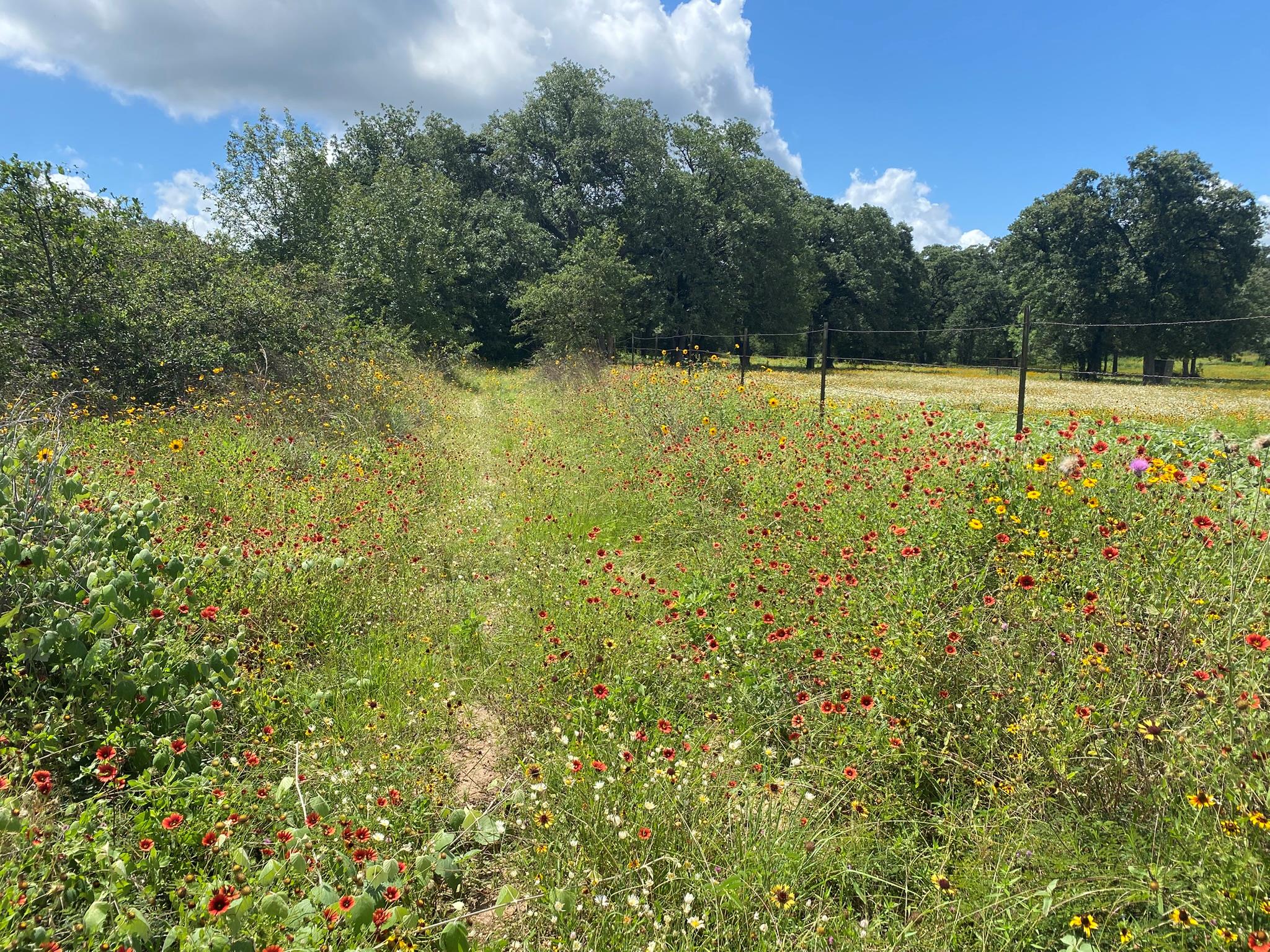 TBD Deep Sand, Elgin, TX 78621 — photo 1