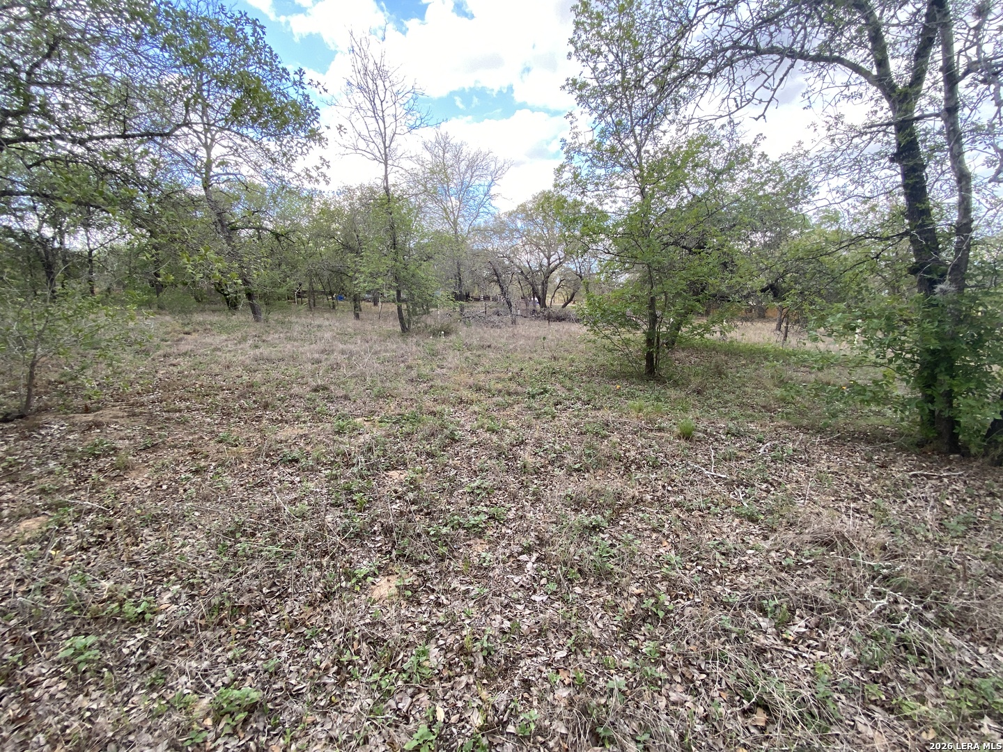 1823 Comal CV, San Antonio, TX 78264 — photo 1