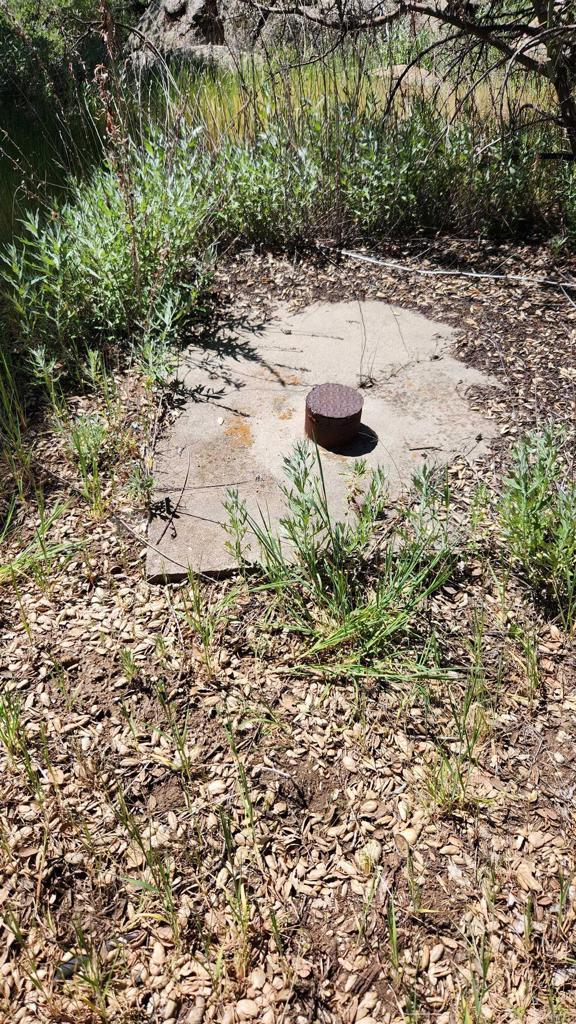 9779 Deer Valley Trail, Descanso, CA 91916 — photo 1