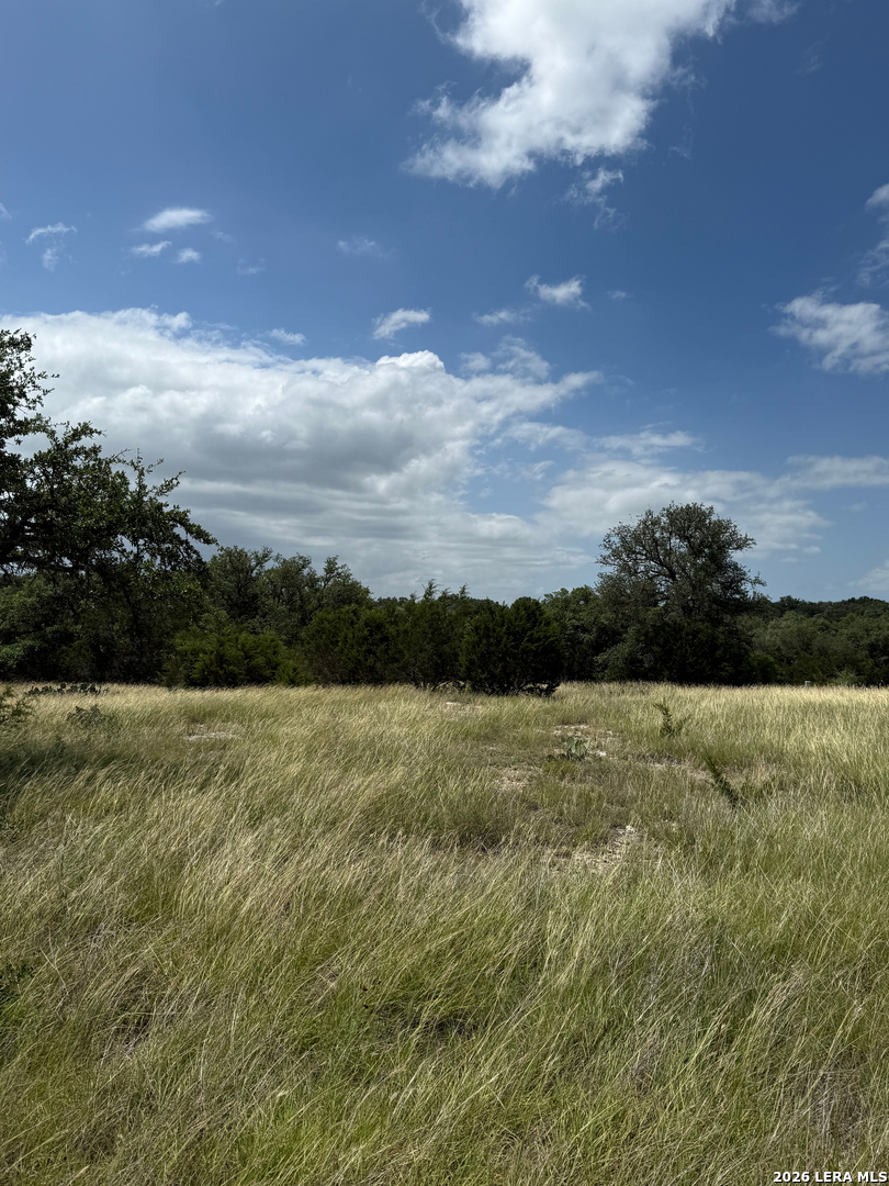 TBD McVea Woods Road, ,  78028 — photo 1