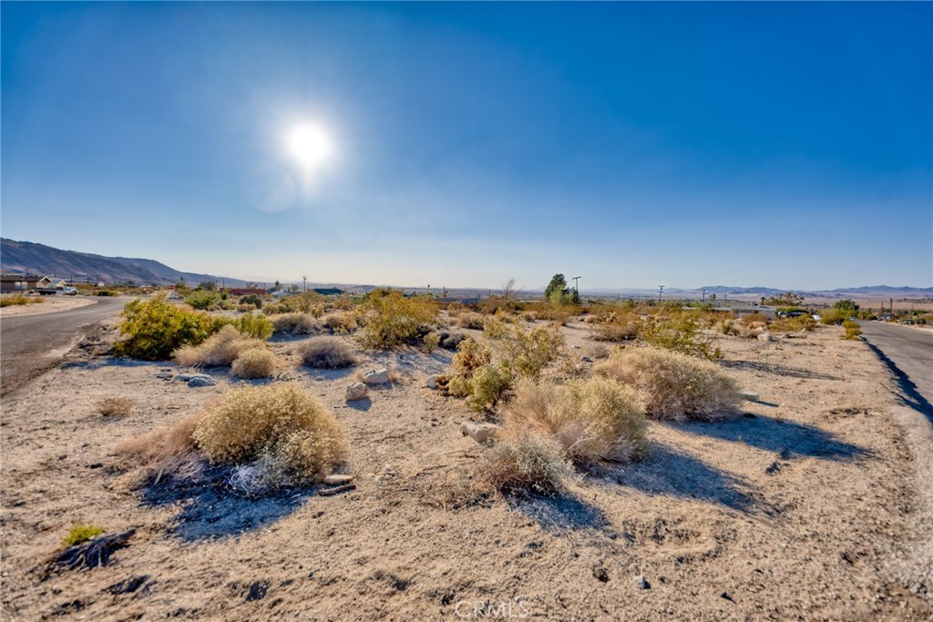 7434 Persia Ave, 29 Palms, CA 92277 — photo 1