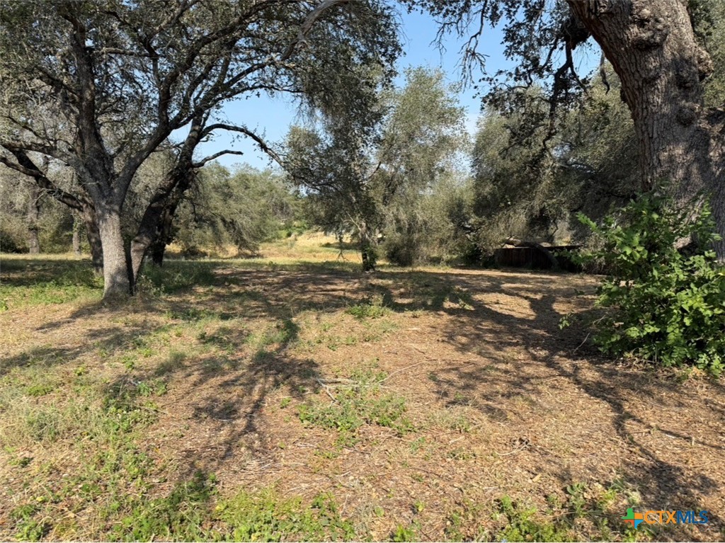 22815 Grand