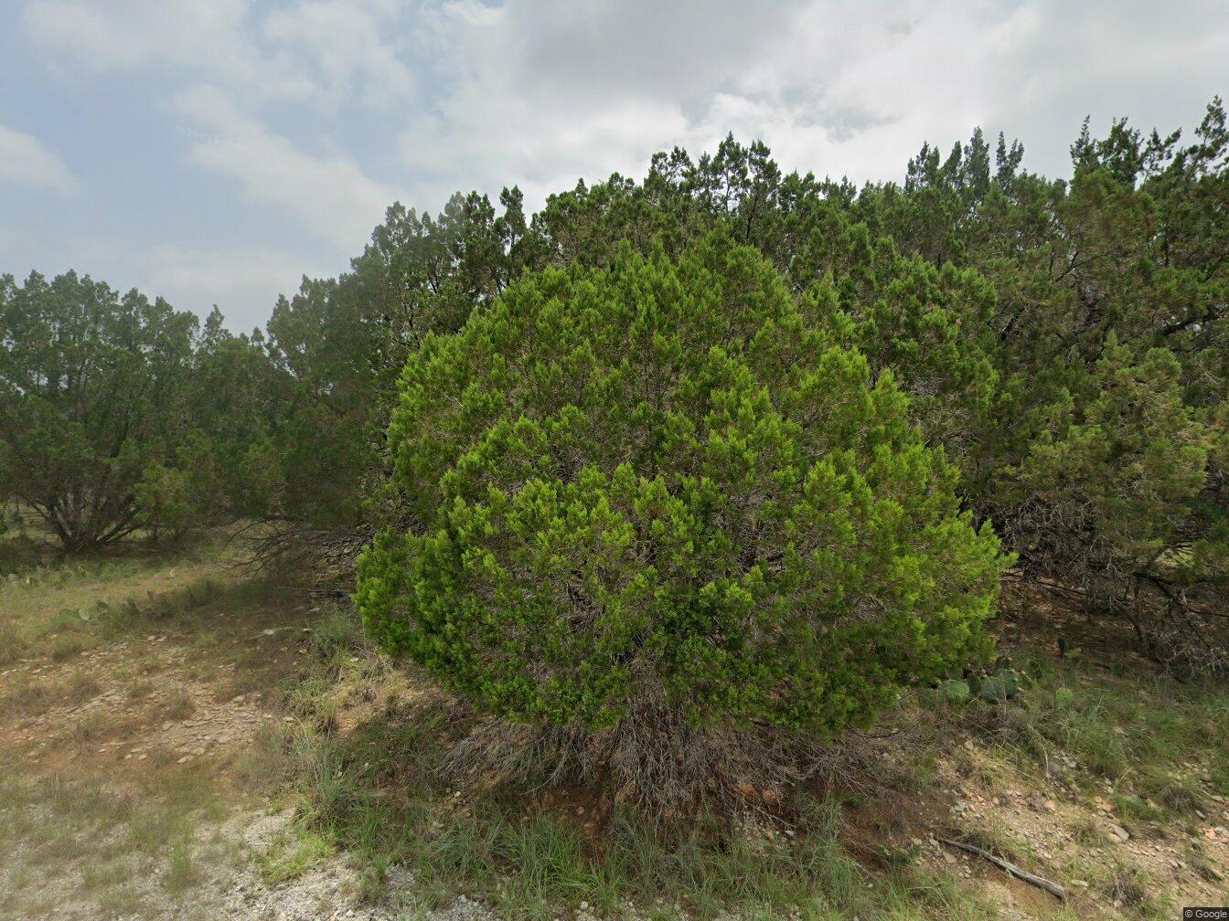 2709 CUSTER Cv, Lago Vista, TX 78645 — photo 1