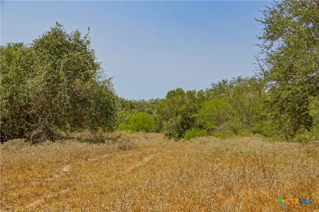 000 Doehrman Lane