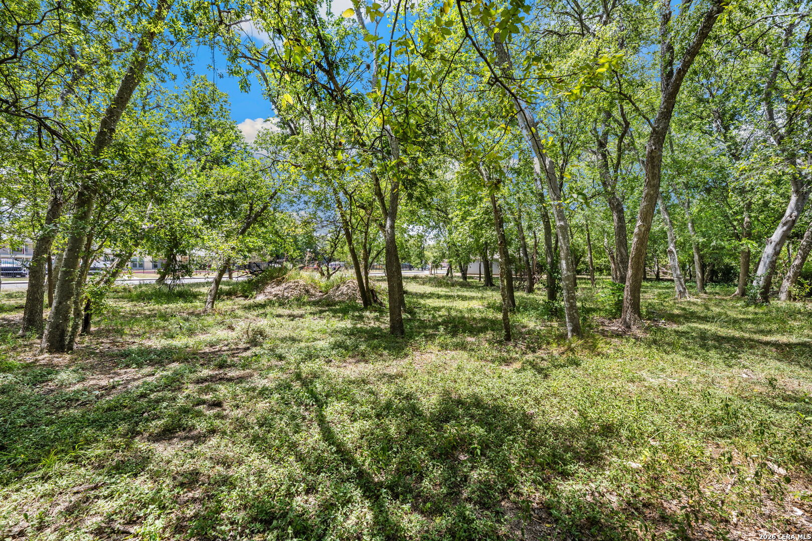 3247 Martin Luther King Dr, San Antonio, TX 78220 — photo 1