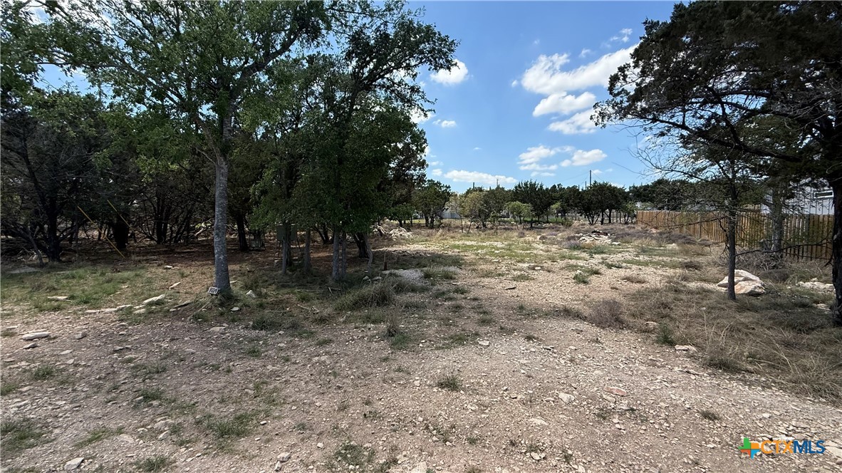 1024 Greenbriar Drive, Canyon Lake, TX 78133 — photo 1