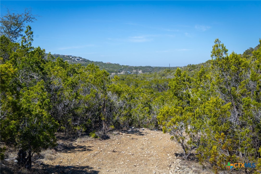837 Crystal Peak Drive, Fischer, TX 78623 — photo 1