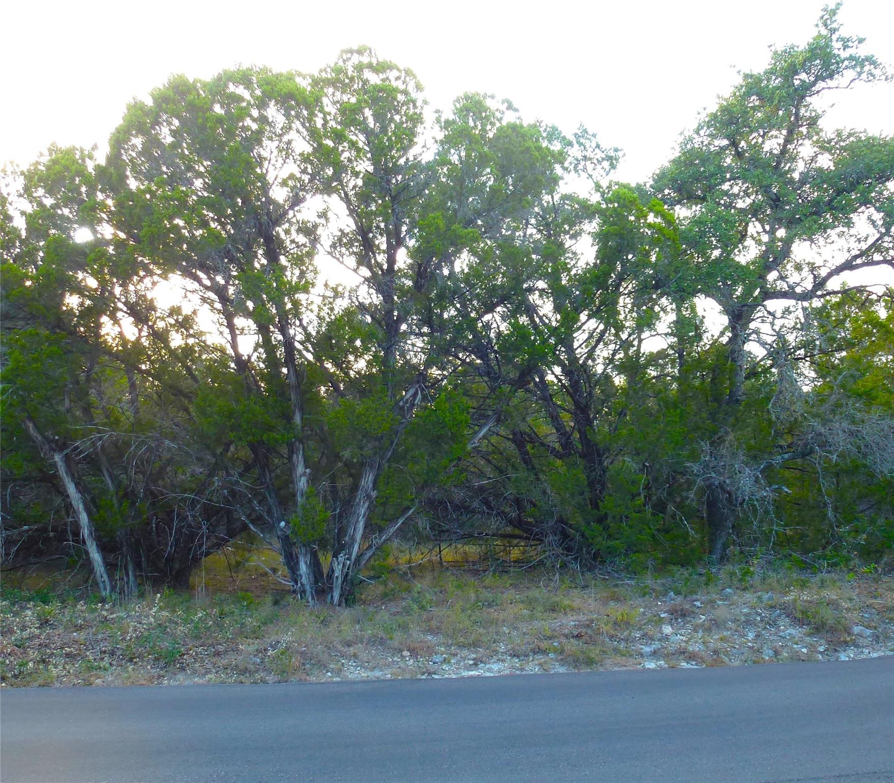 6302 Deer Run None, Lago Vista, TX 78645 — photo 1