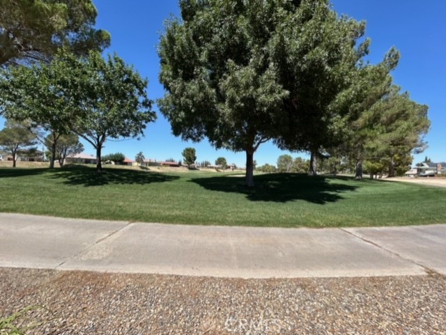14910 Fireside Lane, Helendale, CA 92342 — photo 1