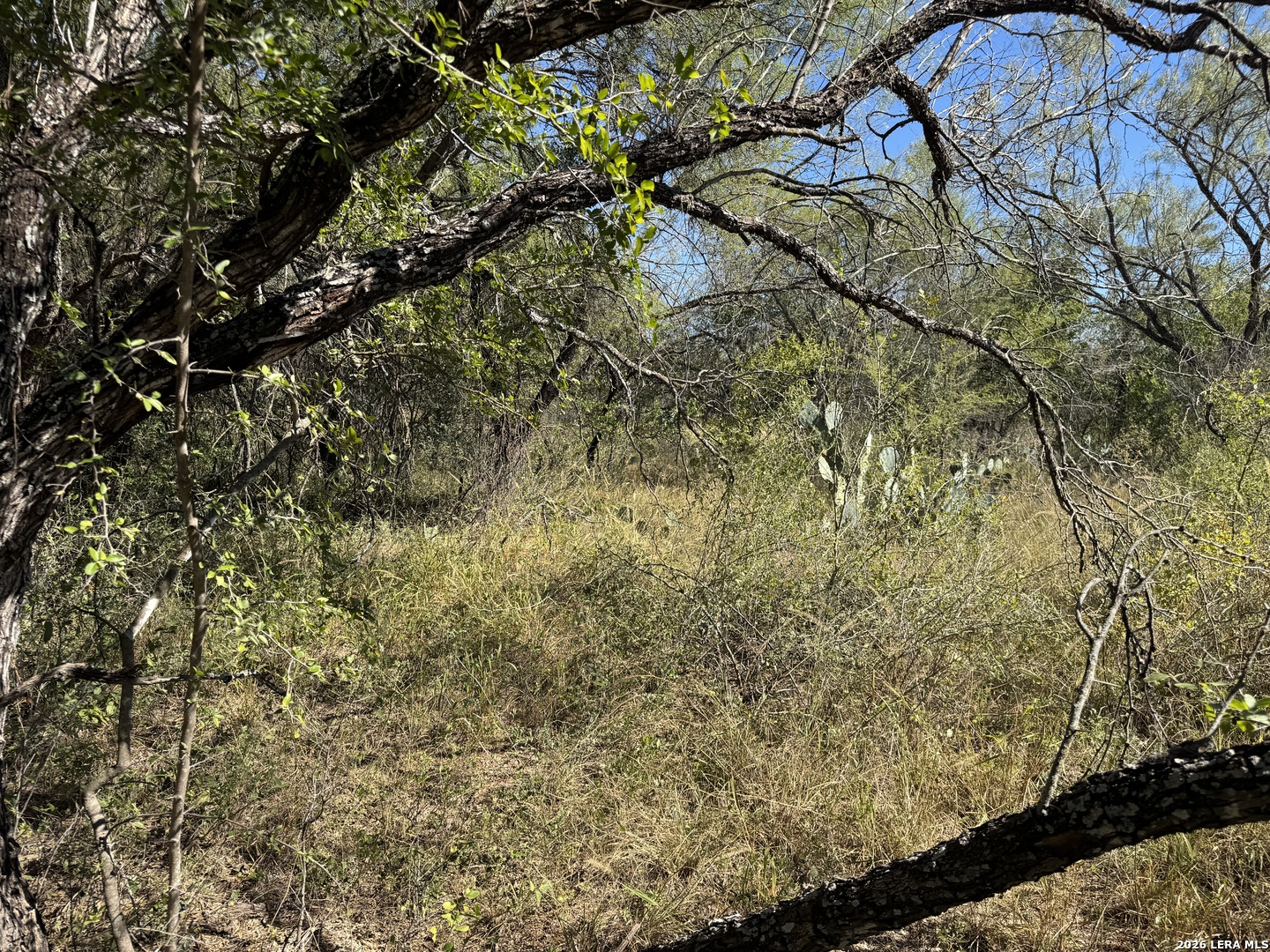 220 PRIVATE ROAD 2355, Uvalde, TX 78801 — photo 1