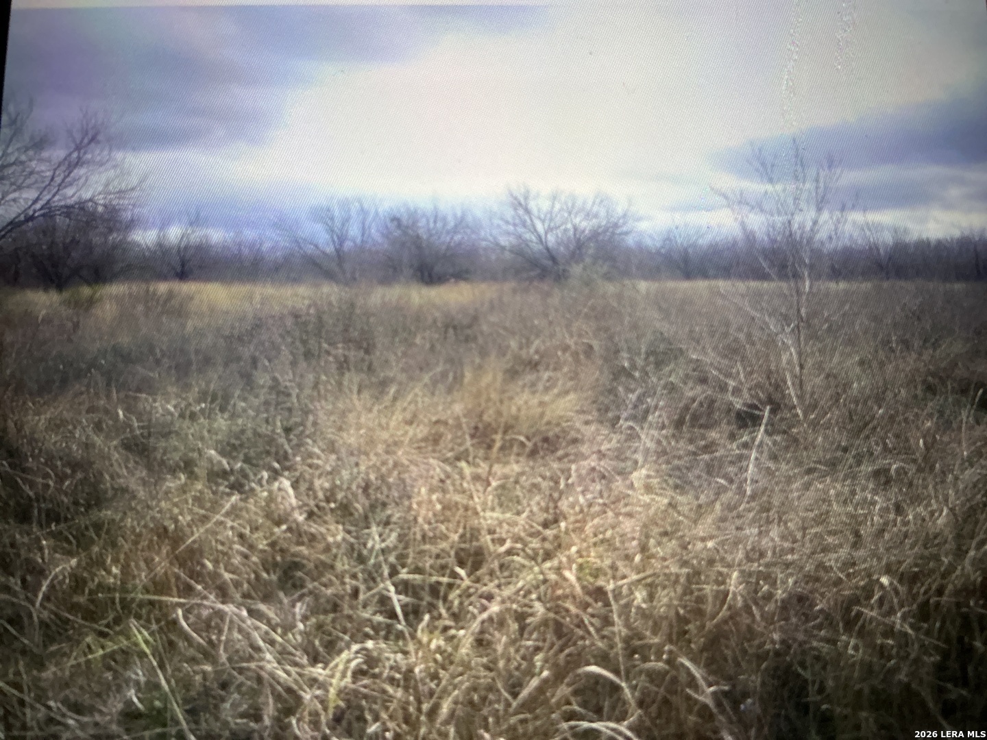 332 Private Road 6632, Devine, TX 78016 — photo 1