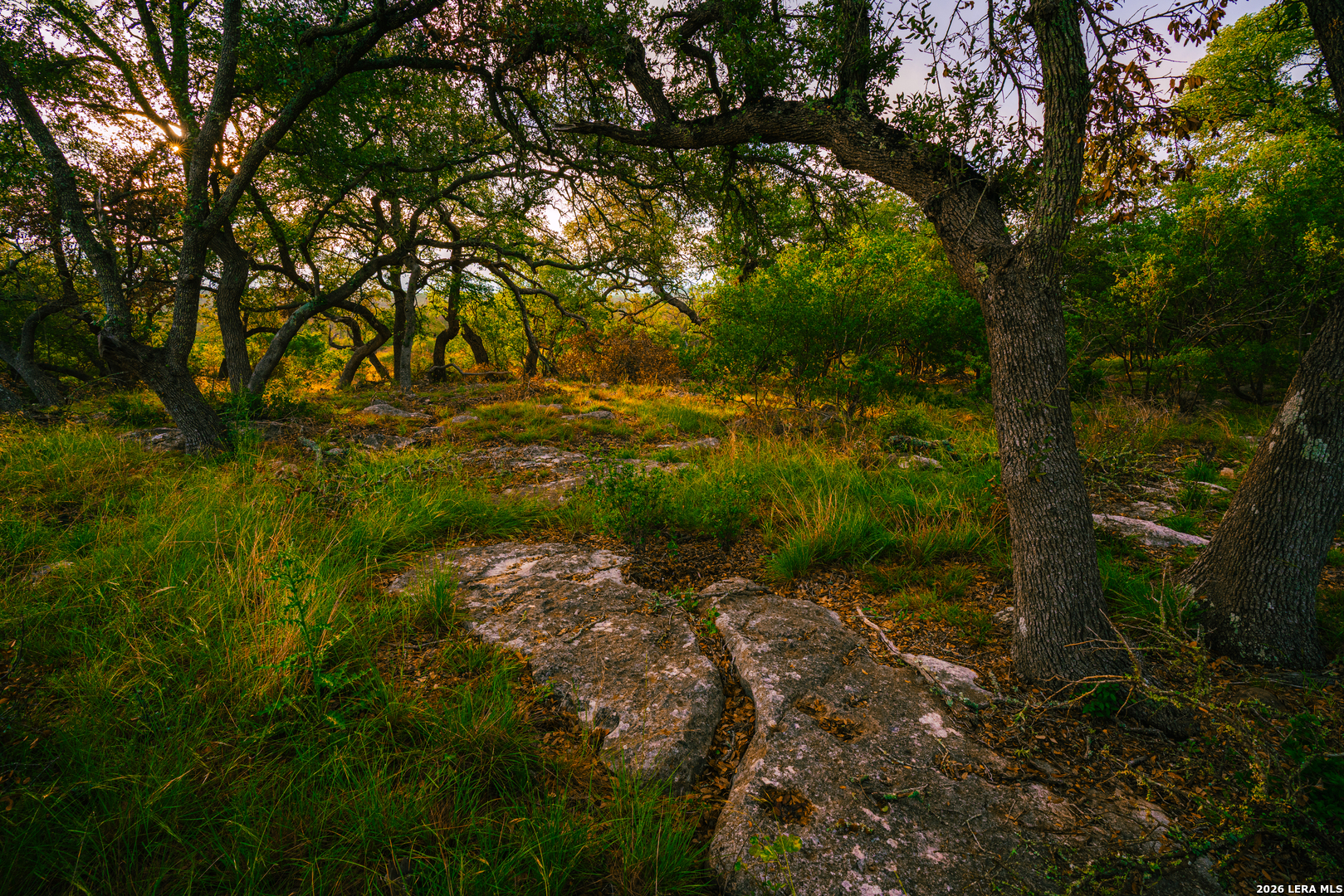 000 Rambling Oaks Ranch, Spring Branch, TX 78070 — photo 1