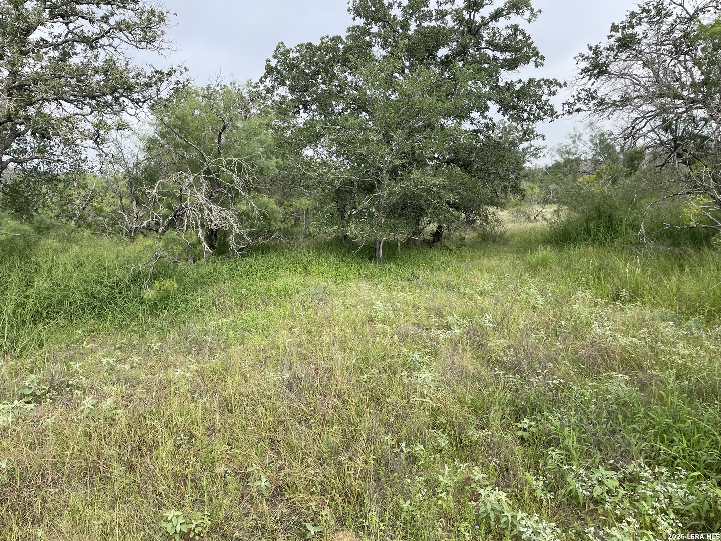 TRACT#8 12.31A County Road 777, Devine, TX 78016 — photo 1