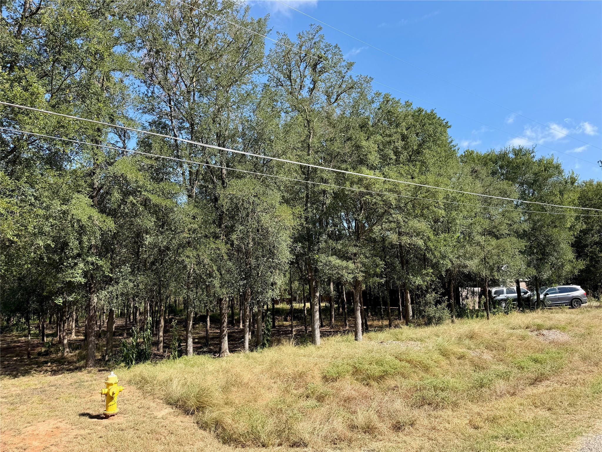 208 Waipahoehoe Dr, Bastrop, TX 78602 — photo 1