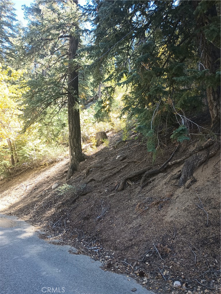 0 Cherry, Big Bear Lake, CA 92315 — photo 1