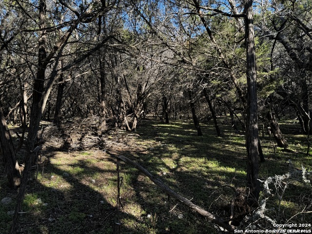 5111 Fm 1863, Bulverde, TX 78163 — photo 1